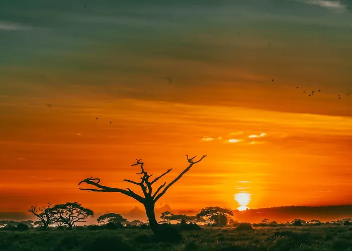 Amboseli House